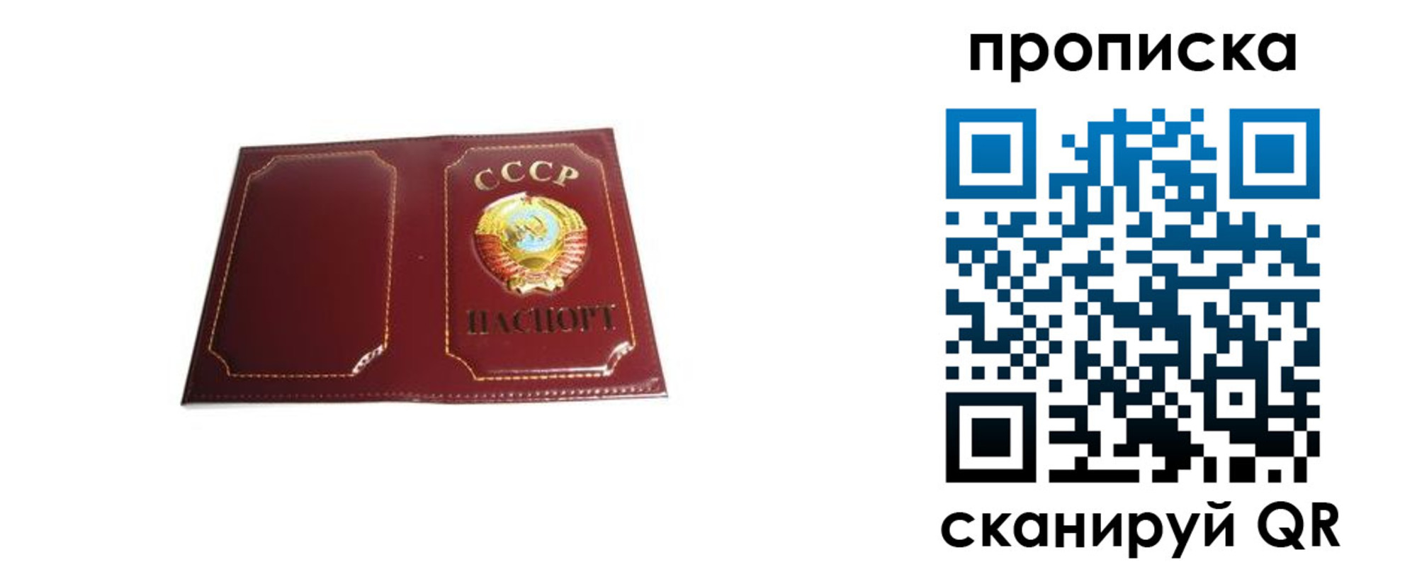 прописка гарантия в Кировграде